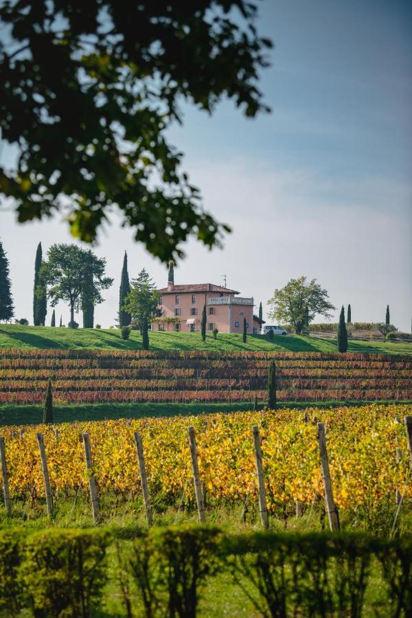 Casale In Collina Konuk evi Capriva del Friuli Dış mekan fotoğraf
