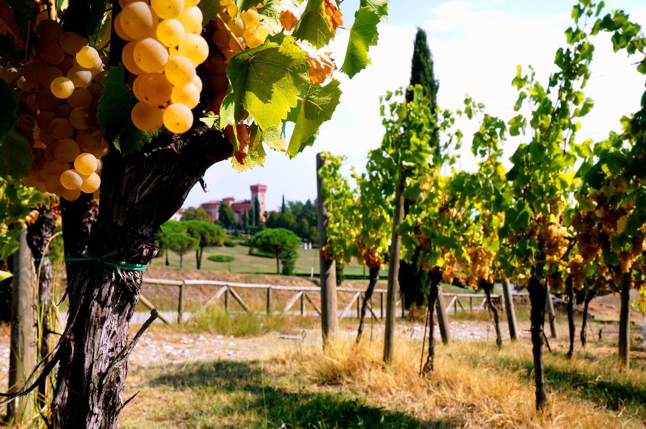Casale In Collina Konuk evi Capriva del Friuli Dış mekan fotoğraf